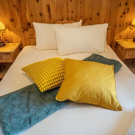 Nelida Myholidaylivigno *
