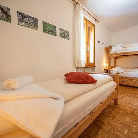 Nelida Myholidaylivigno *