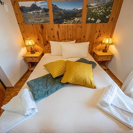 Nelida Myholidaylivigno