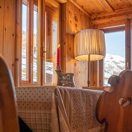 Nelida Myholidaylivigno *
