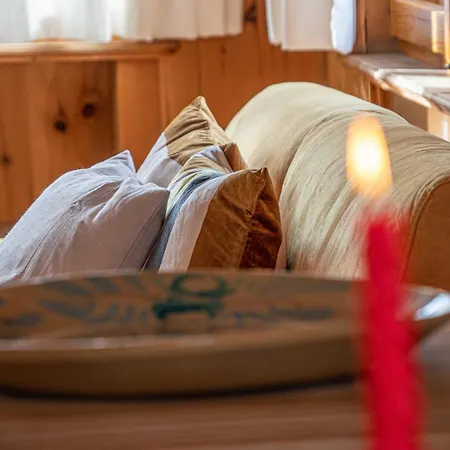 Nelida Myholidaylivigno *