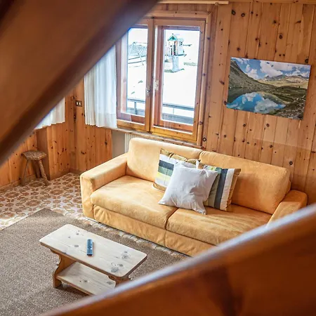 Nelida Myholidaylivigno